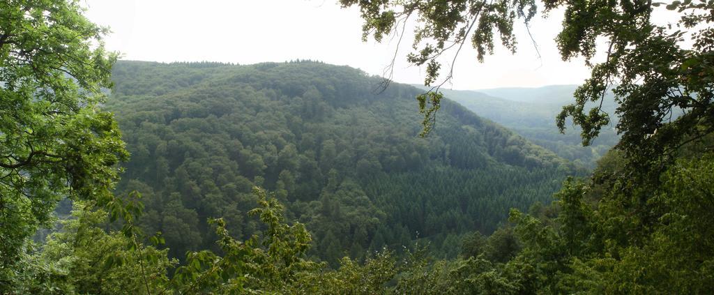 Landhotel Westerwald 엘샤이트 외부 사진